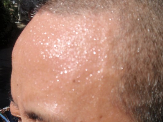 090726 (100)_R 090726 (100)_R